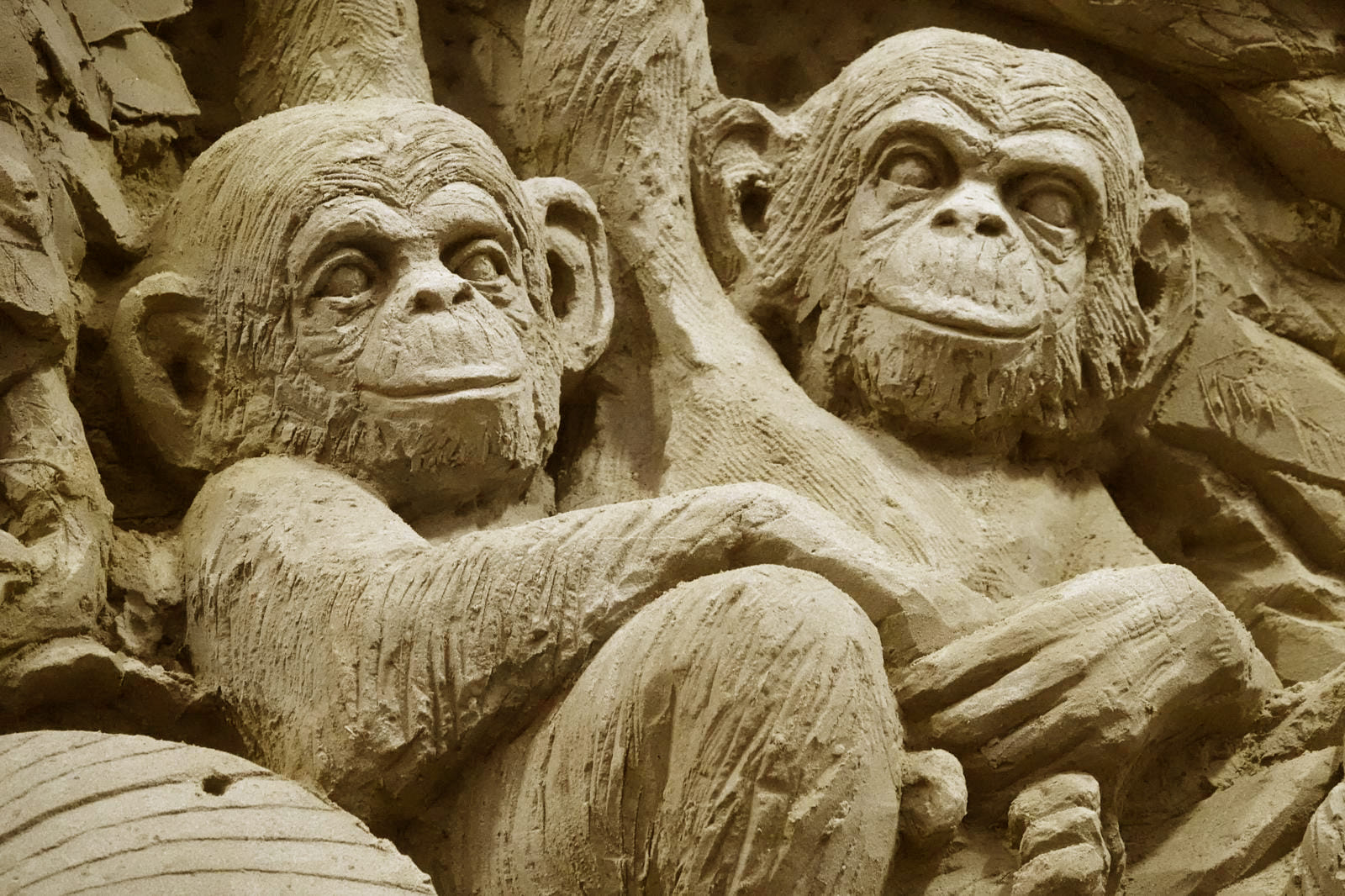 Generieke afbeelding voor image content