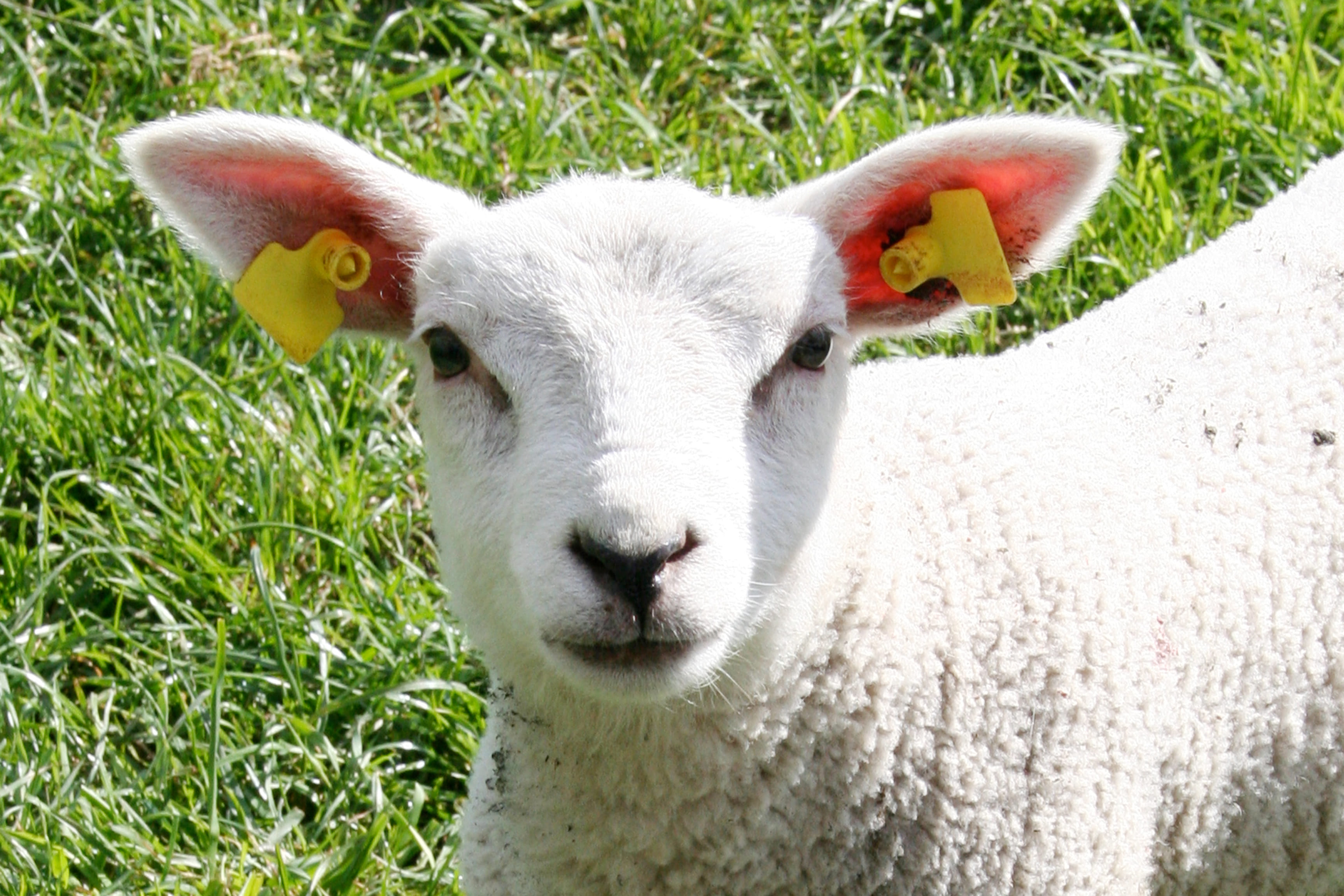 Generieke afbeelding van de achtergrond afbeelding