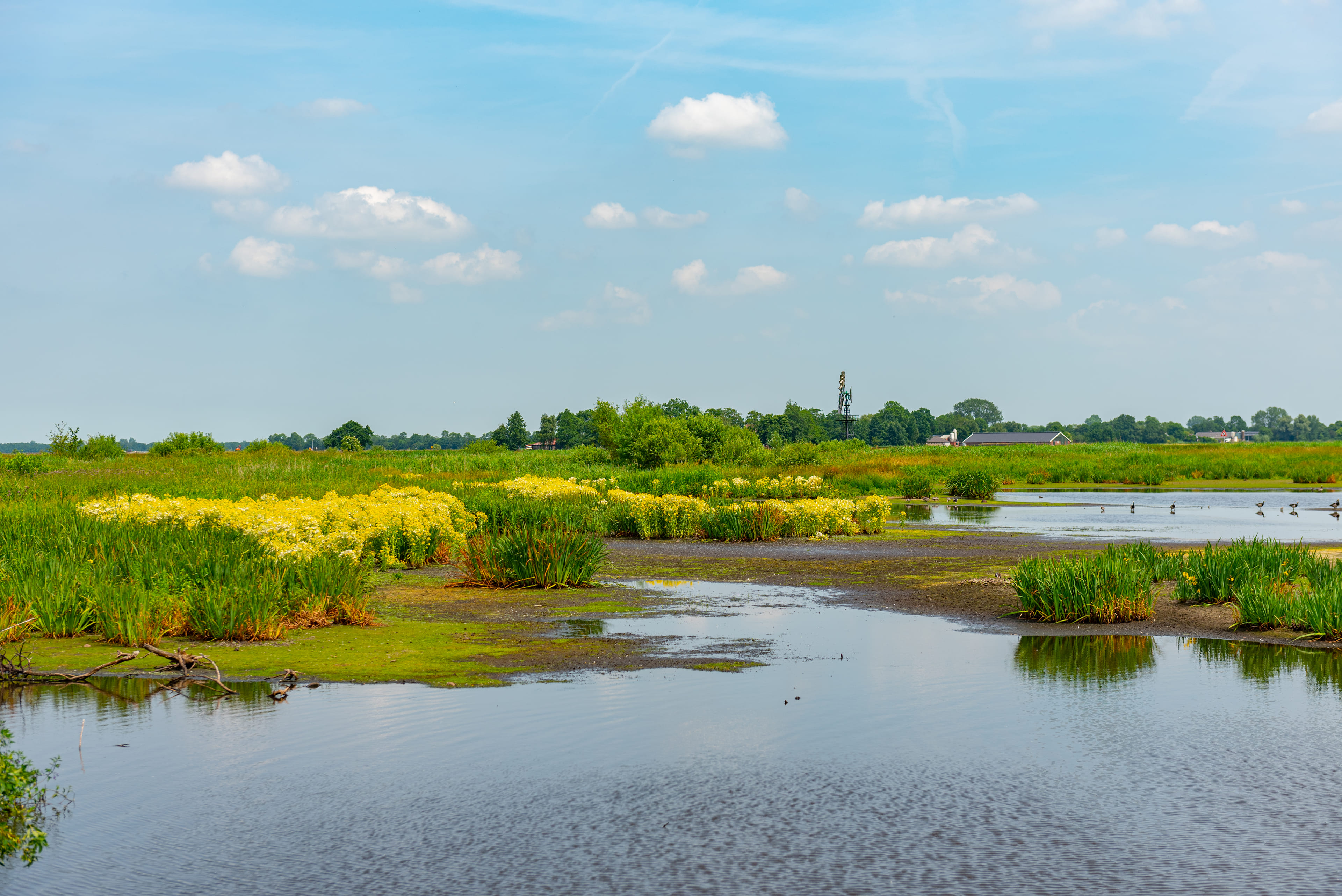 Generieke afbeelding van de achtergrond afbeelding